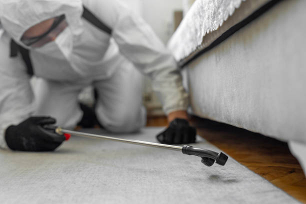 Professional Termite Control technician working in Laurel Park, NC