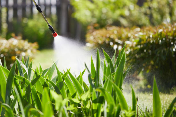 24/7 Emergency Termite Control experts in Laurel Park, NC