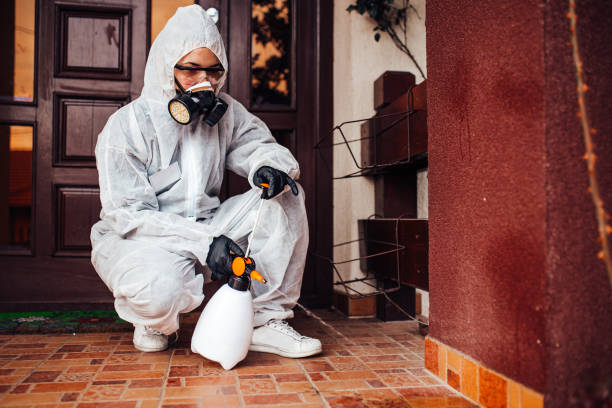 Reliable Termite Control contractor in Laurel Park, NC by Nex Pest Control