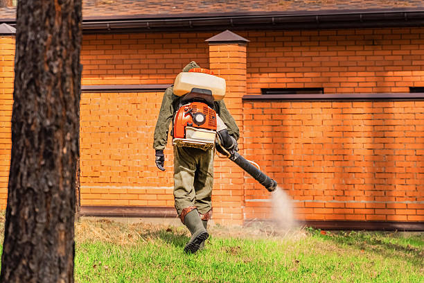 Top rated local Termite Control specialists in Laurel Park, NC